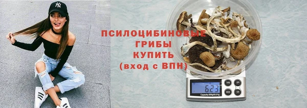 тгк Алексин