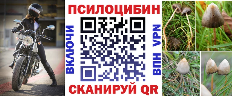 гидра ссылки  Аркадак  Псилоцибиновые грибы Psilocybine cubensis 